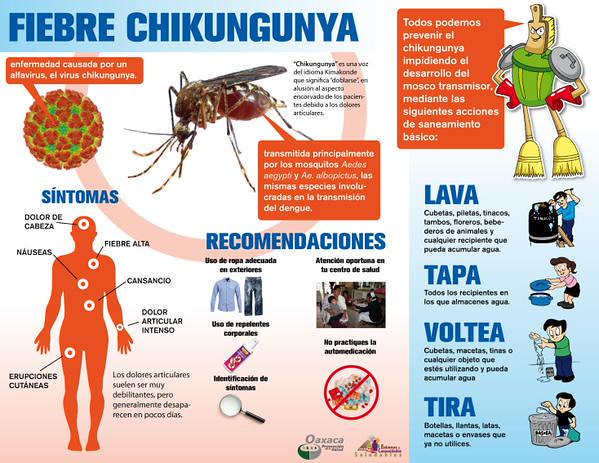 chikungunya